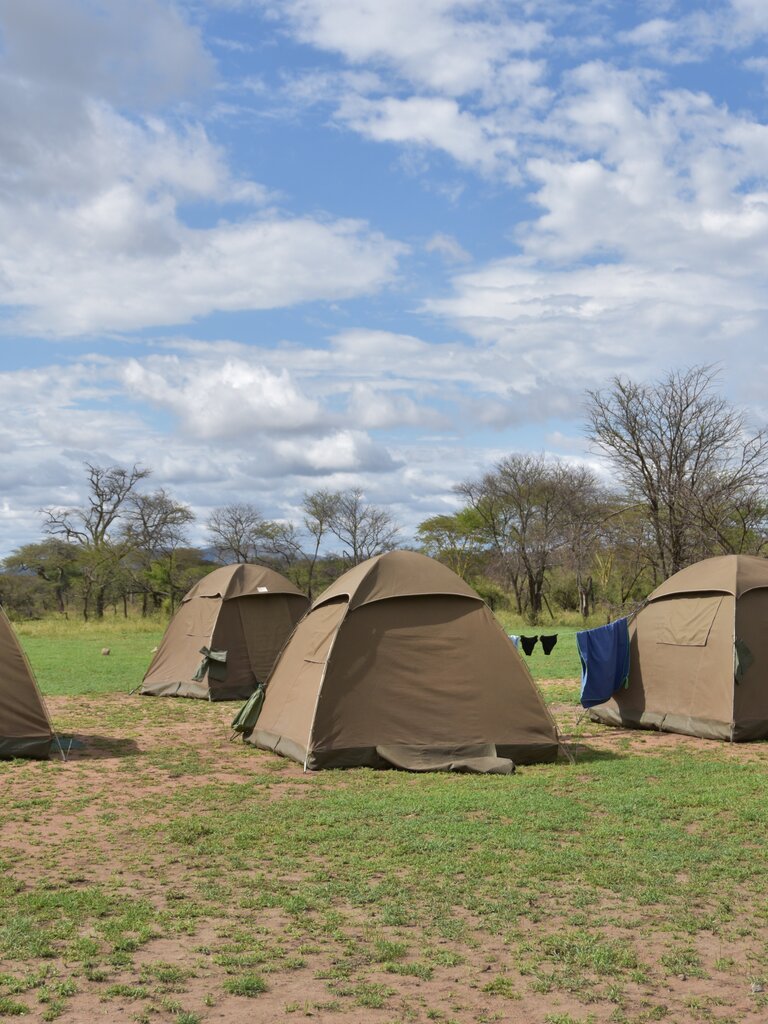 Zeltplatz in der Serengeti | © Manuela Holert