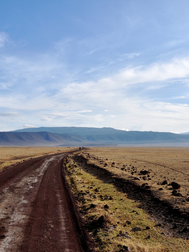 Serengeti Landstrasse | © Manuela Holert